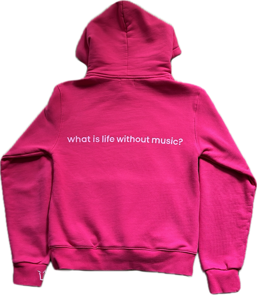 iPod Hoodie